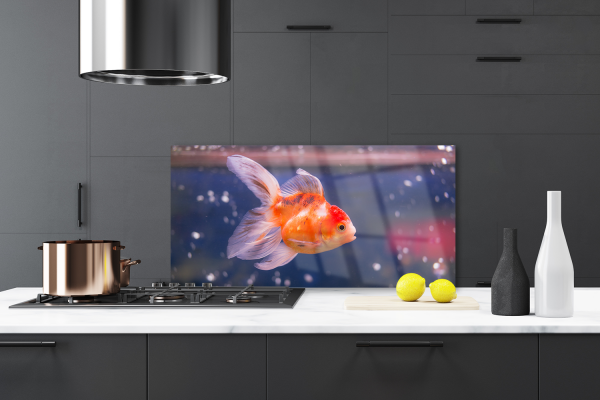 Moderne Küchenverkleidungen auf Glas