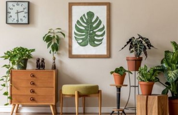 Wie dekoriert man eigenes Zuhause im Stil eines Großstadtdschungels? Urban Jungle ohne Geheimnisse